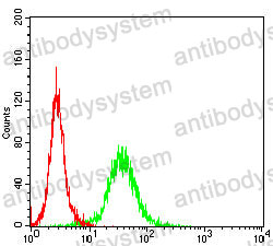 Anti-CD4 Antibody (R2X53)