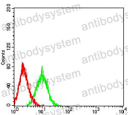Anti-CD8A Antibody (R2X56)
