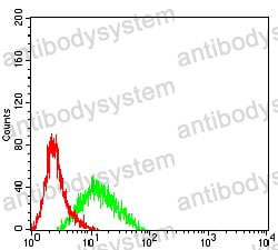 Anti-CD8A Antibody (R2X57)