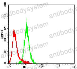Anti-CD8A Antibody (R2X58)