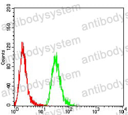 Anti-MB Antibody (R2X76)