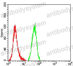 Anti-COL1A1 Antibody (R2X77)