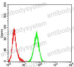 Anti-COL1A1 Antibody (R2X78)