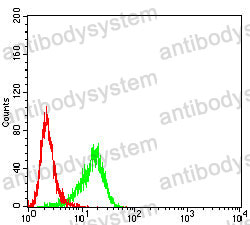 Anti-COL2A1 Antibody (R2X80)