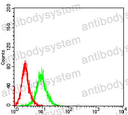 Anti-COL2A1 Antibody (R2X81)