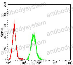Anti-PIIINP/COL3A1 Antibody (R2X82)