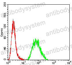 Anti-KRT14 Antibody (R2X86)