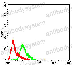 Anti-KRT14 Antibody (R2X88)