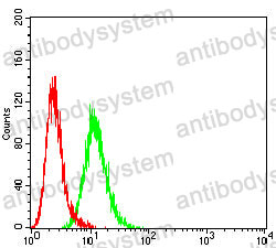 Anti-KRT6A Antibody (R2X90)