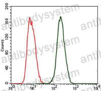 Anti-CRP Antibody (R2Y05)