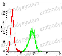 Anti-C1QA Antibody (R2Y08)