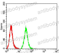 Anti-C1QA Antibody (R2Y06)
