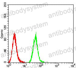 Anti-C1QA Antibody (R2Y07)