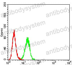Anti-C1qc Antibody (R2Y09)