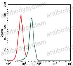 Anti-FN1/Fibronectin Antibody (R2Y10)
