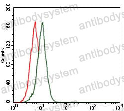 Anti-FN1/Fibronectin Antibody (R2Y11)