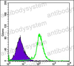Anti-RBP4 Antibody (R2Y13)