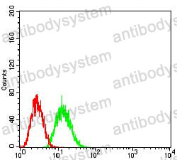 Anti-TTR/Prealbumin/Transthyretin Antibody (R2Y18)
