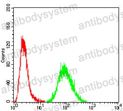 Anti-TTR/Prealbumin/Transthyretin Antibody (R2Y17)