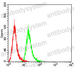 Anti-ALB/Albumin/HSA Antibody (R2Y22)