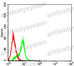 Anti-AFP/Alpha-fetoprotein Antibody (R2Y28)