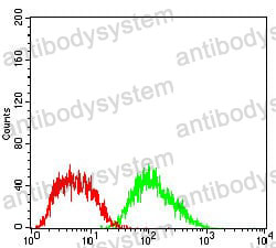 Anti-FTL Antibody (R2Y32)