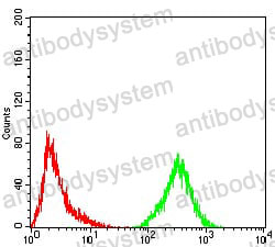 Anti-ESR1/ER-alpha Antibody (R2Y39)