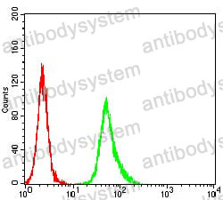 Anti-ESR1/ER-alpha Antibody (R2Y40)