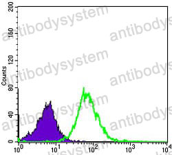 Anti-MMP1 Antibody (R3A68)