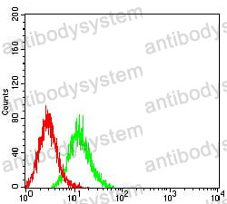 Anti-ALDOA Antibody (R2Y50)