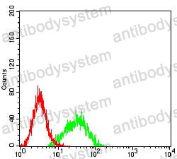 Anti-ALDOA Antibody (R2Y51)