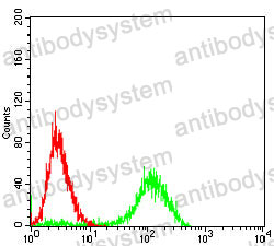 Anti-PDGFA Antibody (R2Y56)