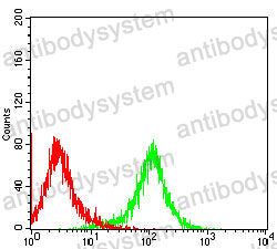 Anti-PDGFA Antibody (R2Y55)