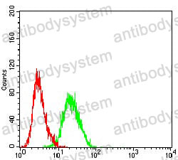 Anti-CD230/PRNP Antibody (R2Y59)