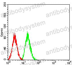 Anti-SOD2 Antibody (R2Y60)