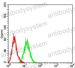 Anti-SOD2 Antibody (R2Y61)