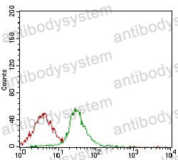 Anti-CD74 Antibody (R2Y66)