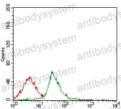 Anti-CD74 Antibody (R2Y67)