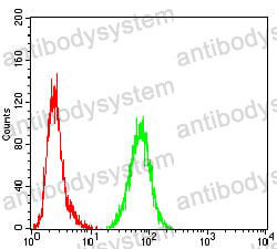 Anti-S100B Antibody (R2Y73)