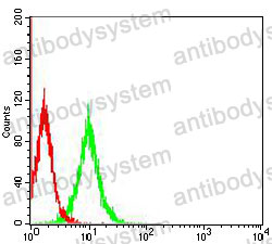 Anti-GAPDH Antibody (R2Y76)