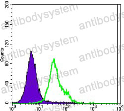 Anti-CD340/ERBB2/HER2/NEU Antibody (R2Y78)