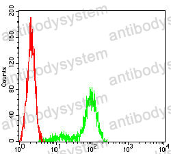 Anti-ATP1A1 Antibody (R2Y93)
