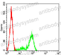 Anti-ATP1A1 Antibody (R2Y92)