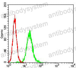 Anti-APP Antibody (R2Y96)
