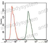 Anti-ALDH2 Antibody (R2Z01)