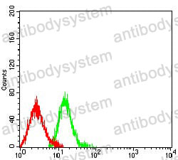 Anti-CD61/ITGB3 Antibody (R2Z02)