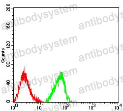 Anti-CD18/ITGB2 Antibody (R2Z04)