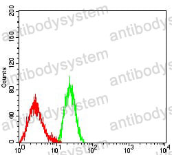 Anti-CD18/ITGB2 Antibody (R2Z05)