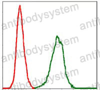 Anti-SERPINE1/PAI-1 Antibody (R2Z08)