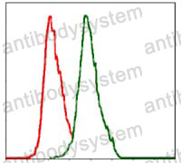 Anti-ALPL Antibody (R2Z11)